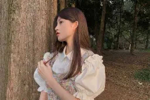 成都减灾所深夜道歉